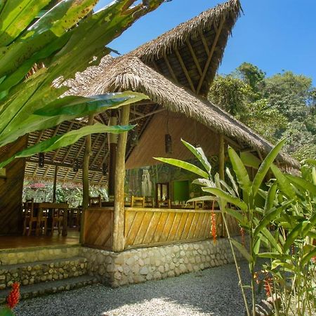 Esquinas Rainforest Lodge Golfito Exteriör bild