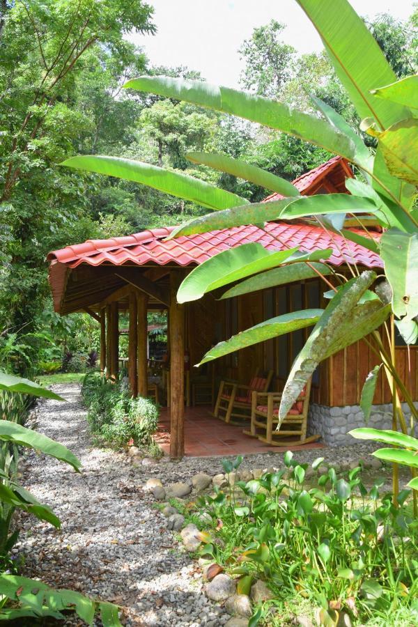 Esquinas Rainforest Lodge Golfito Exteriör bild