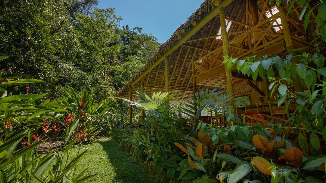 Esquinas Rainforest Lodge Golfito Exteriör bild