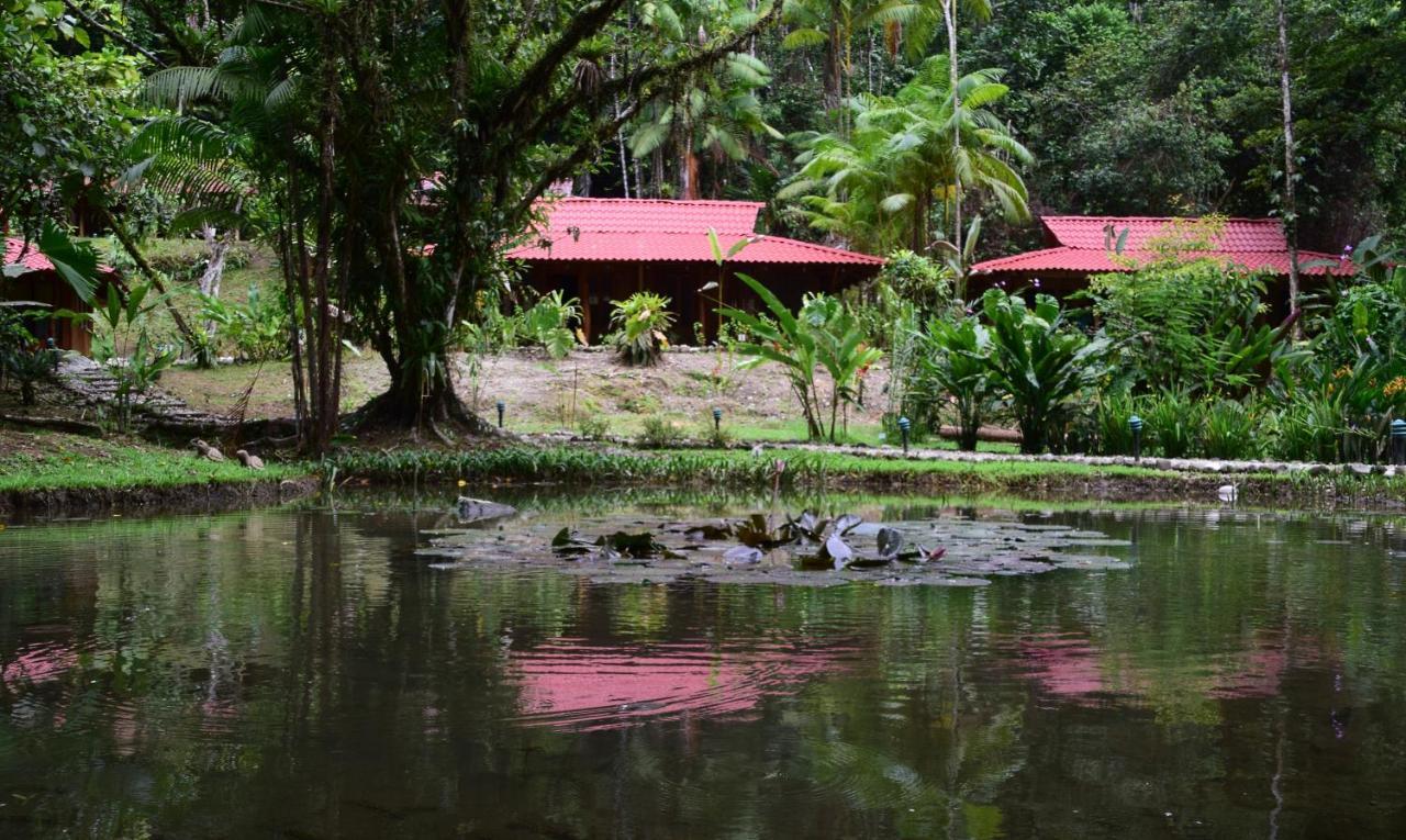 Esquinas Rainforest Lodge Golfito Exteriör bild