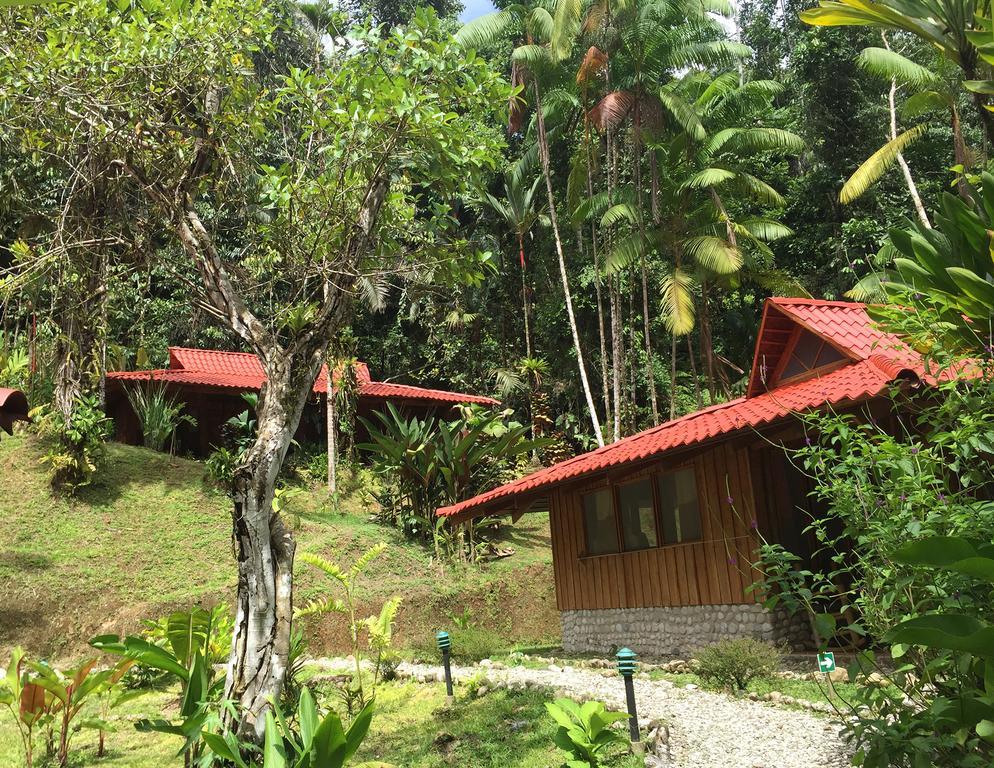Esquinas Rainforest Lodge Golfito Exteriör bild