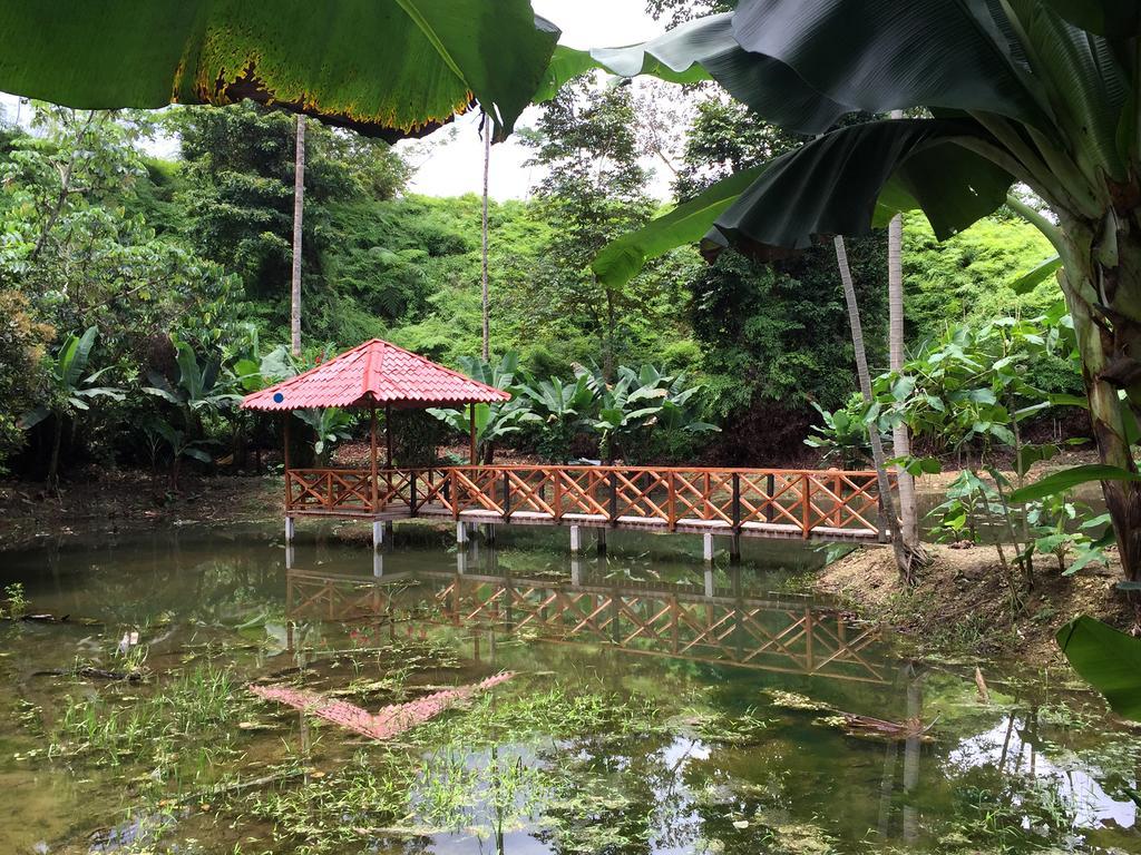 Esquinas Rainforest Lodge Golfito Exteriör bild