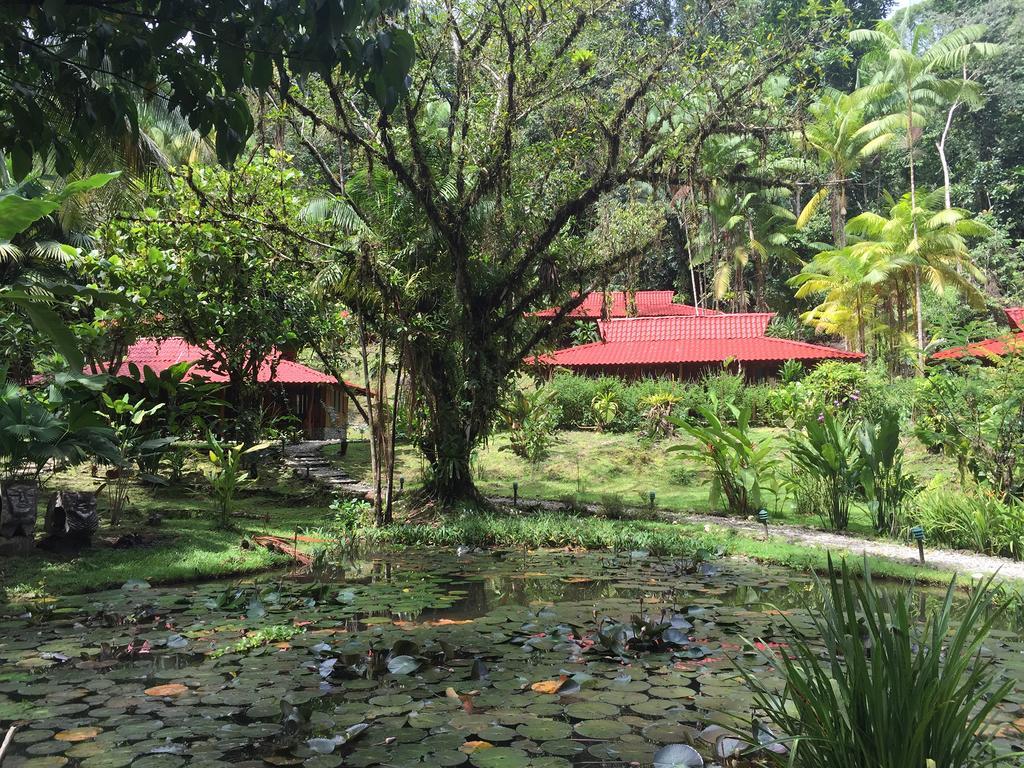 Esquinas Rainforest Lodge Golfito Exteriör bild