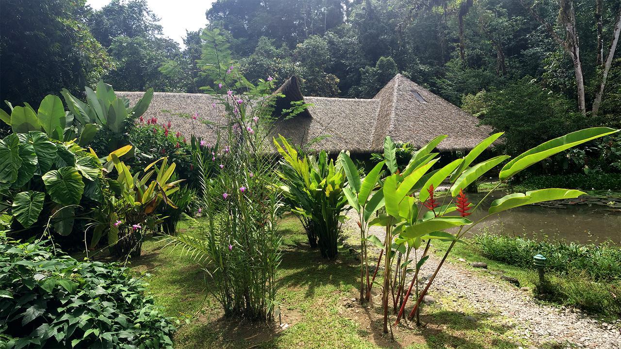 Esquinas Rainforest Lodge Golfito Exteriör bild
