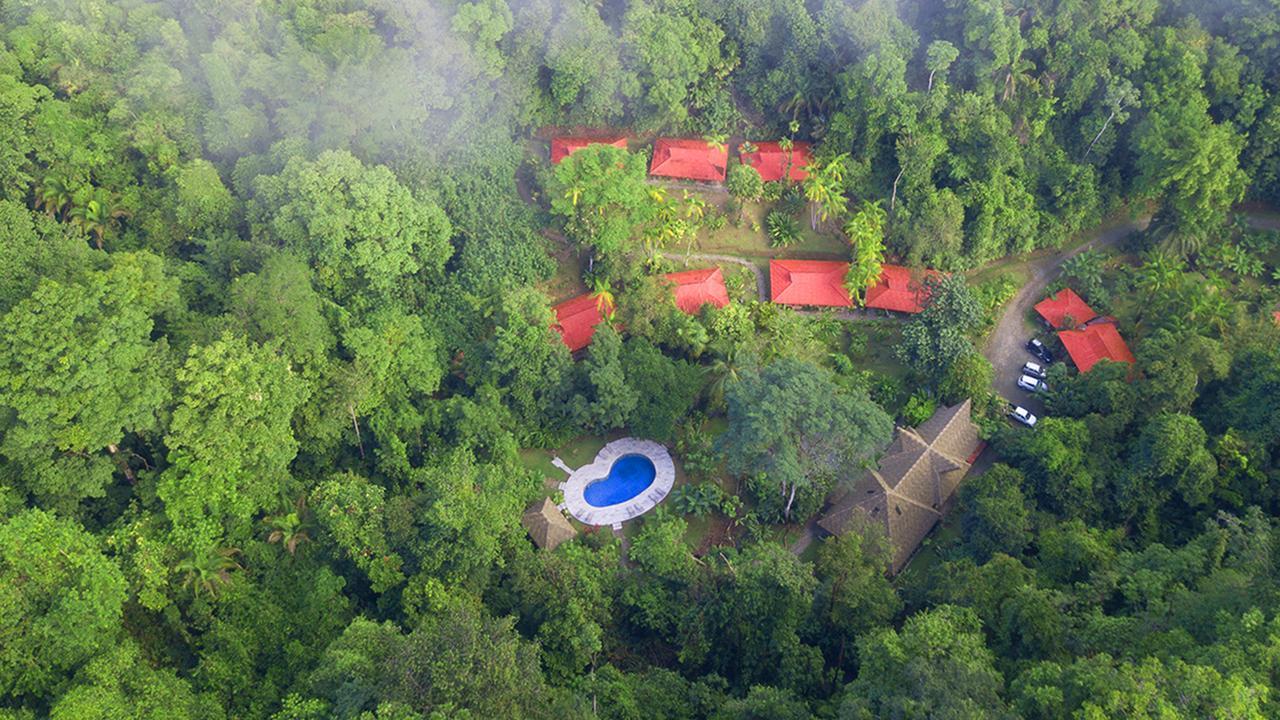 Esquinas Rainforest Lodge Golfito Exteriör bild