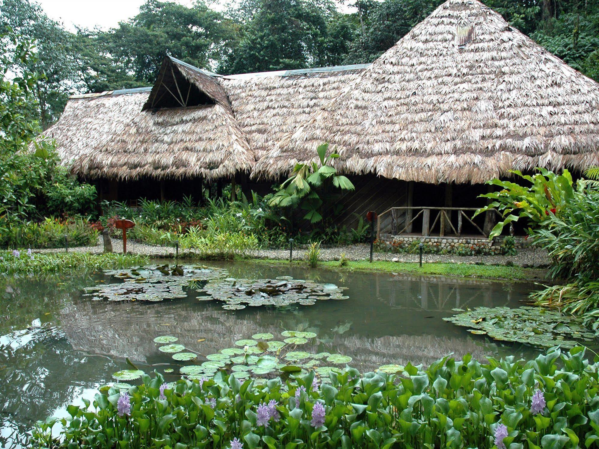 Esquinas Rainforest Lodge Golfito Exteriör bild