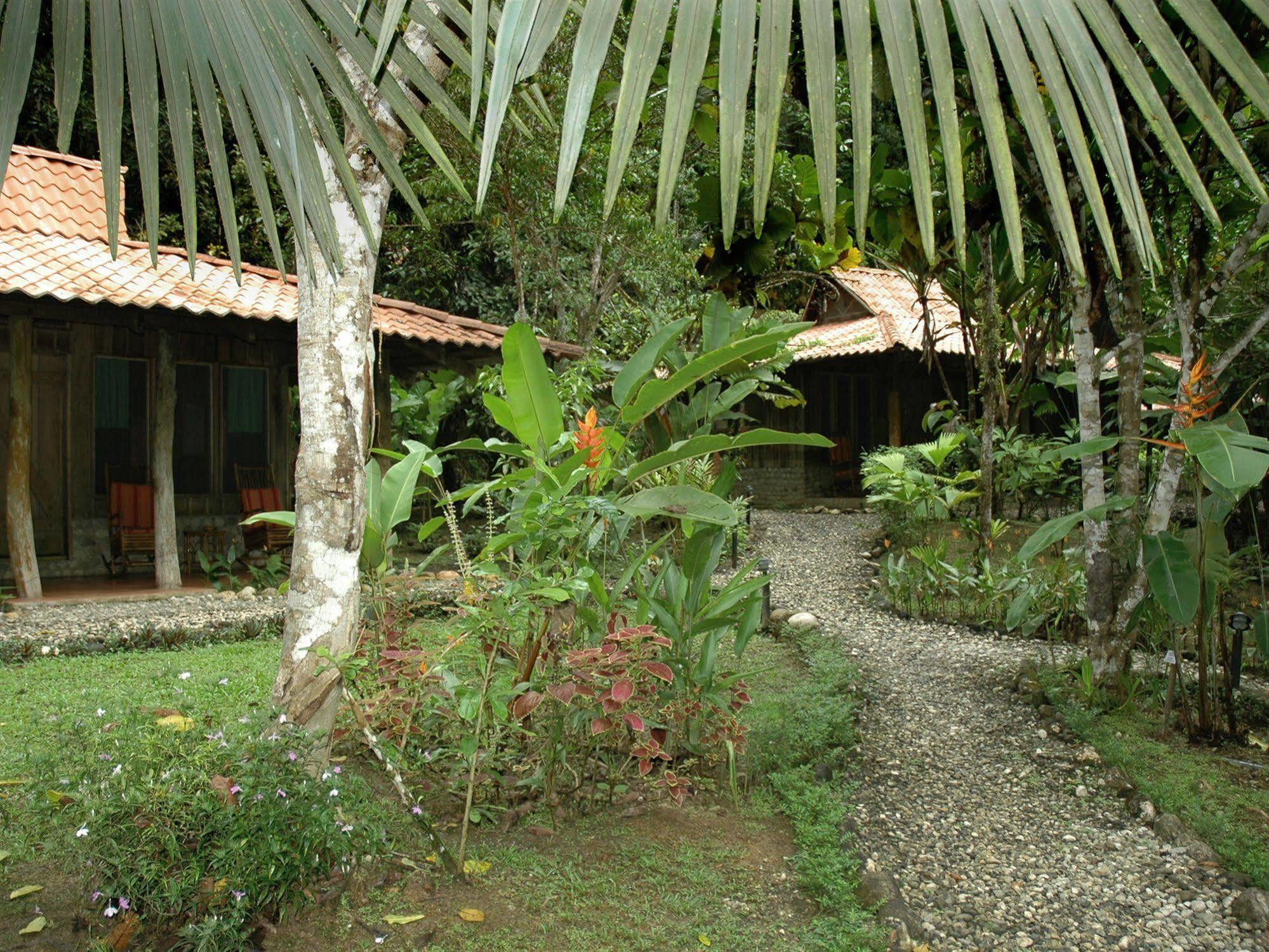 Esquinas Rainforest Lodge Golfito Exteriör bild