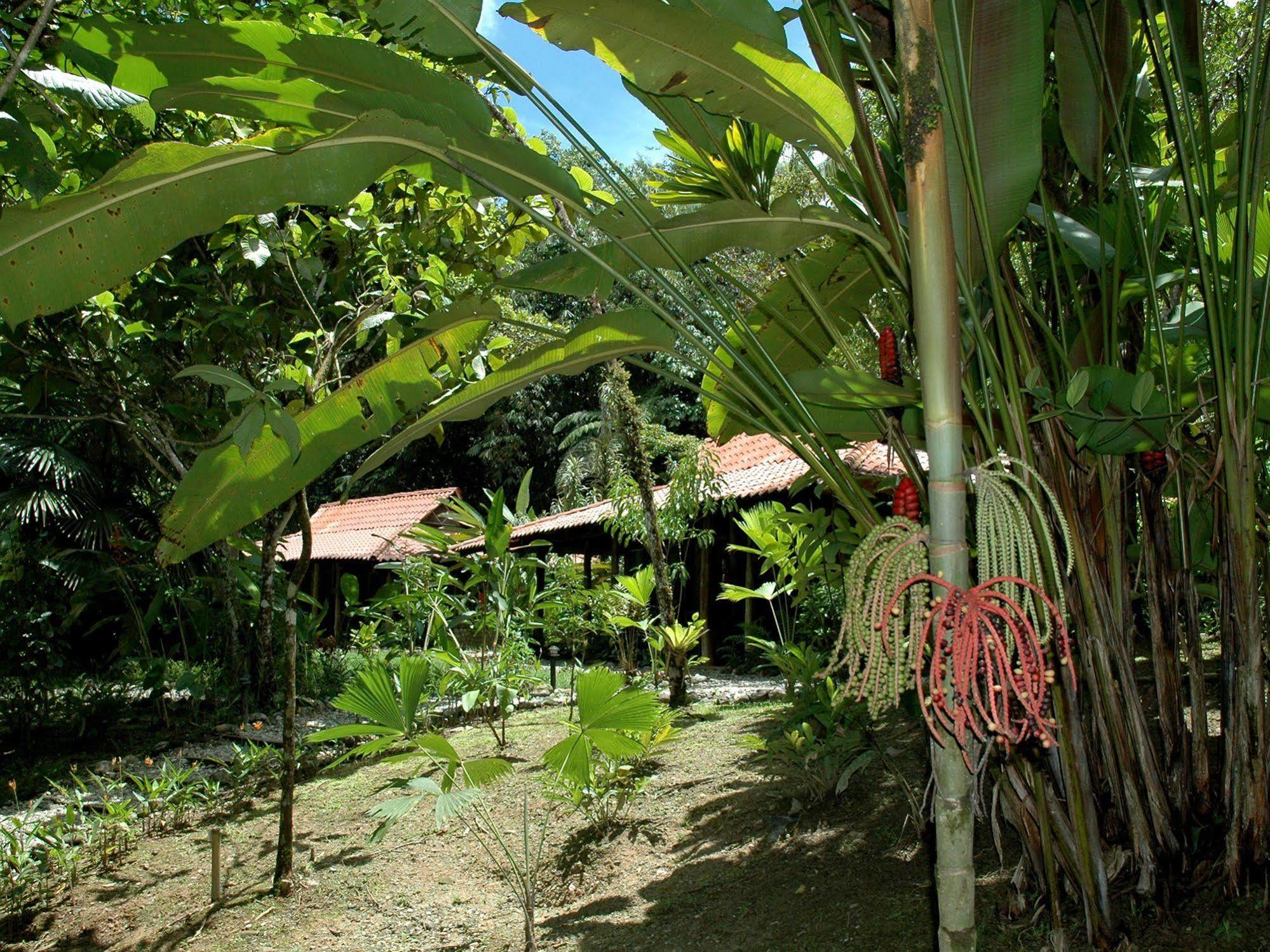 Esquinas Rainforest Lodge Golfito Exteriör bild