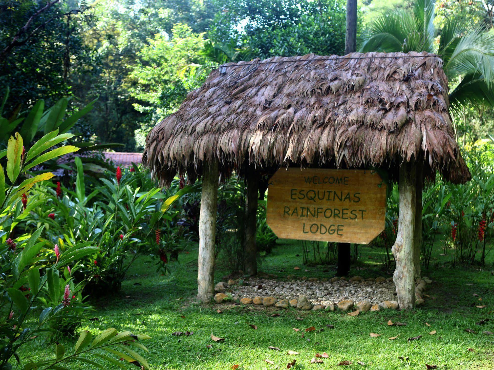 Esquinas Rainforest Lodge Golfito Exteriör bild
